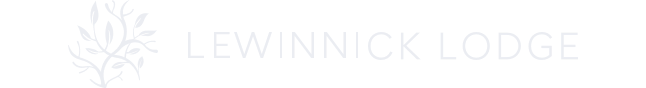 The logo for Lewinnick