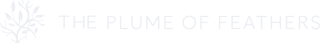 The logo for Plume