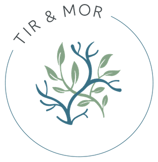 The logo for Tir & Mor